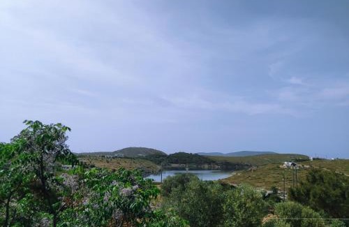 Arkoi Hotel | Pet-Friendly Retreat at Arki Island-Katsavidis Awaits