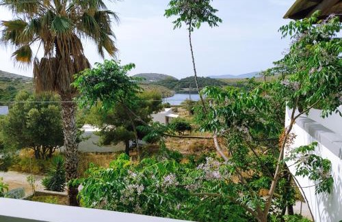 Arkoi Hotel | Pet-Friendly Retreat at Arki Island-Katsavidis Awaits