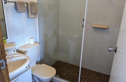 Armidale Hotel | Comfortable Stays at Armidale Inn with Pet-Friendly Amenities