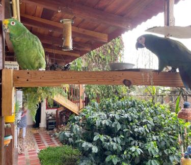 Luna Park Hotel | Pet-Friendly Aroma Cafetera: Family Comfort Awaits You