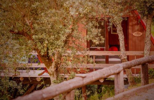 Castelo de Paiva Bed & Breakfast | Relax at Arrabia Guest Houses Glamping with Pool & Hot Tub