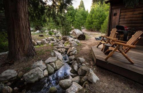 Twin Peaks Resort | Unforgettable Arrowhead Pine Rose Cabins with Ocean View