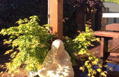 Arrowtown Cottage | Beautiful Arrowtown Gem - Classic Cottage with Great Amenities