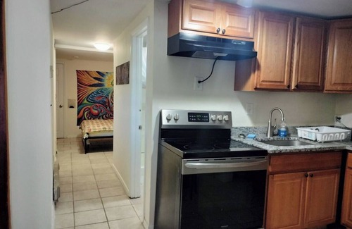 Thompson Square - Bunker Hill Apartment | Art boutique 2-level apartment "Fish Eye" in Charlestown.