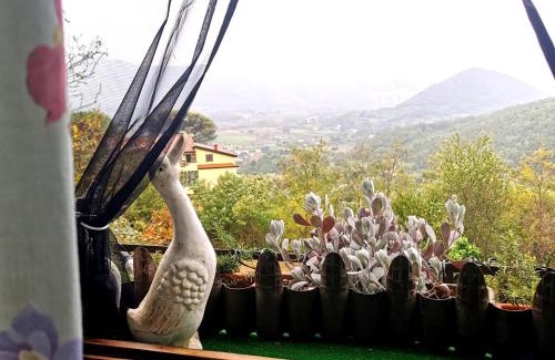 Caiazzo Apartment | Art & Design, 2min walk to Pepe in Grani