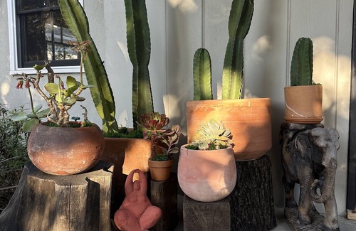 Mar Vista House | Artistic Retreat in Mar Vista: Pet-Friendly & Spa Amenities