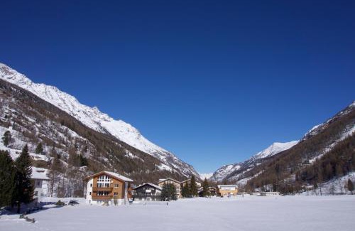 Saas Grund Apartment | ART Oase: Guest Rated 9.3 with Pet & Child-Friendly Amenities