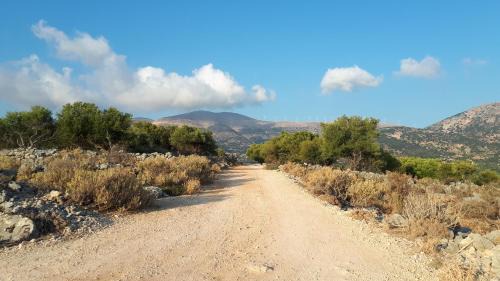 Argostoli House | Unforgettable Stay at Art Studio Kefalonia with Ocean Views