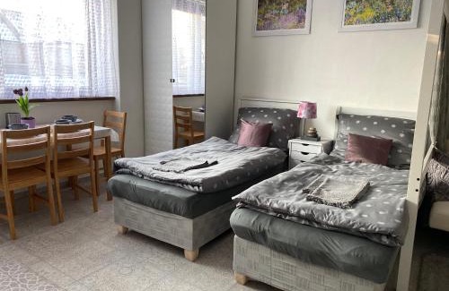 Plzen 2-Slovany Apartment | Stylish ARTep Apartment - Rated 8.8, Child Friendly Stay