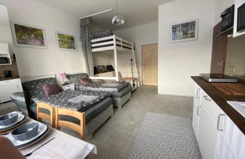 Plzen 2-Slovany Apartment | Stylish ARTep Apartment - Rated 8.8, Child Friendly Stay