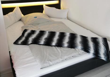 Bad Vilbel Apartment | Discover Arthouse Apartment 2: Guest Rated 9.1/10