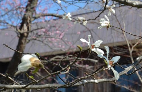 Kawayu Onsen Hotel | Unique ARtINn: Highly Rated Stay with Hot Tub Luxury