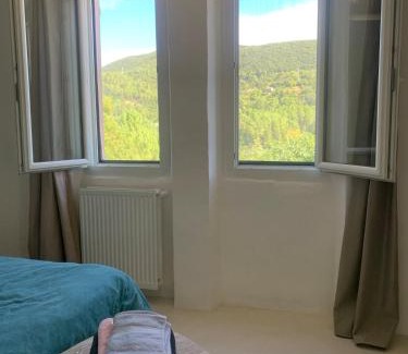 Le Martinet Villa | Artist Conscience Country House in Cévennes