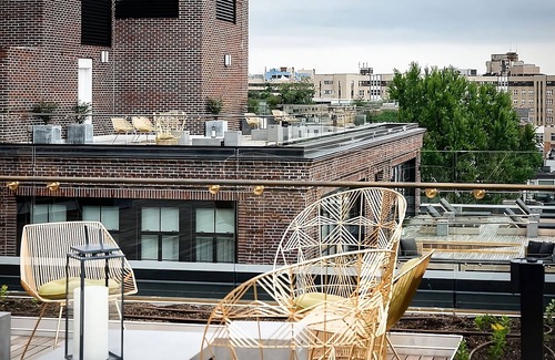 Adams Morgan Hotel | Experience Arts & Nature: Pet-Friendly DC Suite Oasis