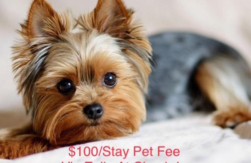 Houston Heights House | Artsy Heights House: Walk to Shops, Trails & Pet Friendly