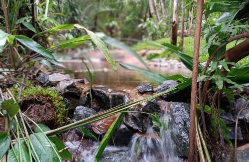 Acu da Torre Cabin | Top-Rated Aruá: Nature and Birdwatching Retreat