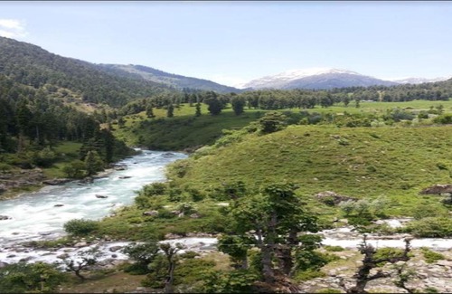Aru Valley Resort | Family-Friendly Retreat at Aru Camping Resort, J&K