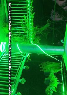 Hireguthi House | Discover S R A Home Stay for a Memorable Retreat