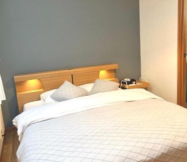 Asakusa Villa | Walk to Senso-ji Temple: Family-Friendly Villa in Asakusa