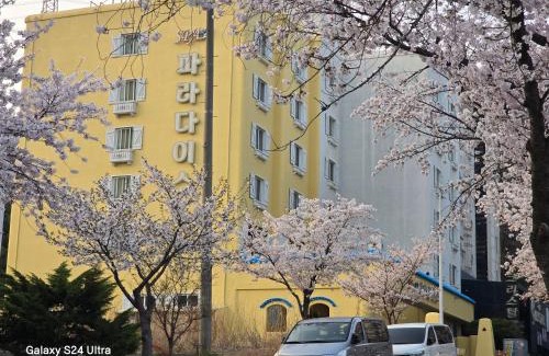 Asan Hotel | Discover Asan Paradise: Family-Friendly Retreat Awaits