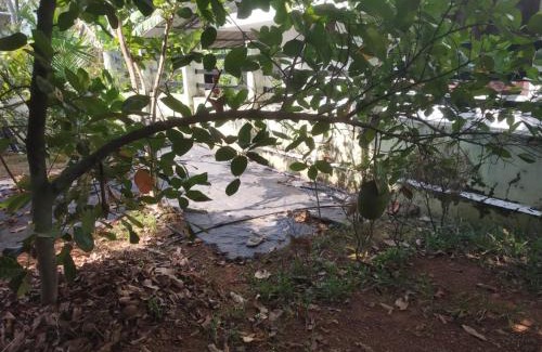 Thrissur House | Comfortable Ashiaana Homestay: Family & Pet Friendly Retreat