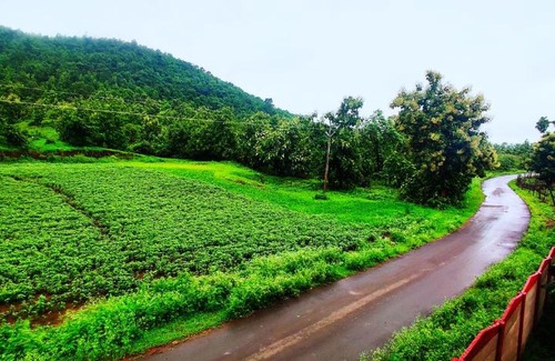 Indore House | Relax at Ashirwad Farms and Resorts: Pet Friendly Getaway