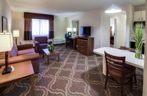 Lubbock Hotel | Discover Ashmore Inn & Suites Lubbock: Pet-Friendly Comfort