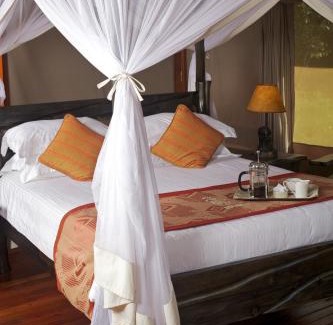 Mara North Conservancy Cabin | Experience Ashnil Mara Camp: 4-Star Oceanfront Retreat