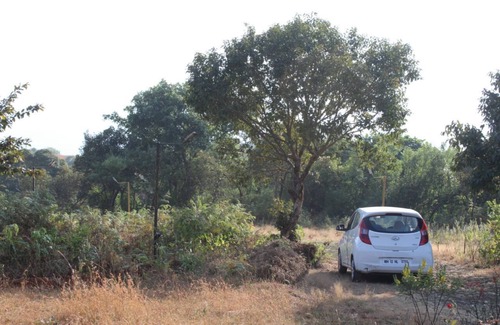 Medha Villa | Comfortable Stay at Ashok Villa with Family-Friendly Amenities