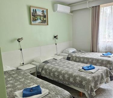 Asikkala Hotel | Pet-Friendly Comfort at Asikkalan Motelli with Kitchenette