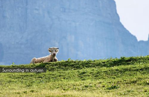 Grindelwald Hotel | Experience Aspen Alpine Lifestyle Hotel with Ocean Views