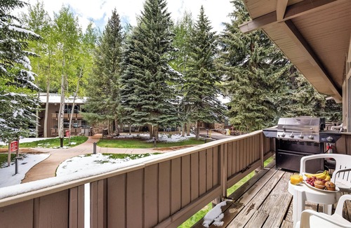 Aspen Condo | Stunning Aspen Alps 2-Bedroom Condo - Pet Friendly & Central
