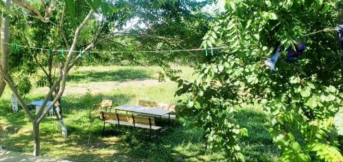 Nurata District House | Discover Komil's Homestay: Pet-Friendly Retreat in Sentyab