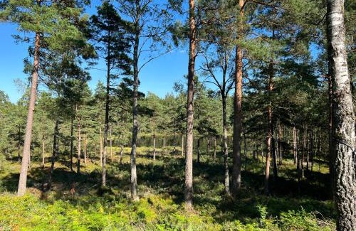 Overlida House | Pet-Friendly Asserbostugan: Guest Rated 9.2/10 Retreat