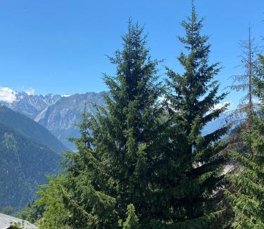 Verbier Apartment | Family-Friendly Stay at Asters 8 with Great Guest Ratings