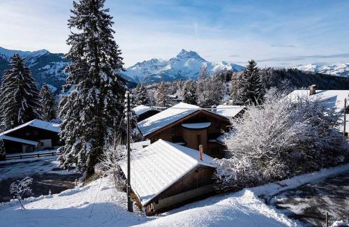 Barboleusaz Apartment | Asters B1 à Gryon 5 personnes emplacement ideal vue sur les montagnes