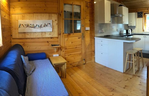 Broadstairs Cabin | Astoria: Oceanfront Retreat with Spa and Stunning Views
