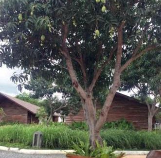 Sofronio Espanola Hotel | Experience Astoria Palawan: 5-Star Oceanview & Pool Bliss
