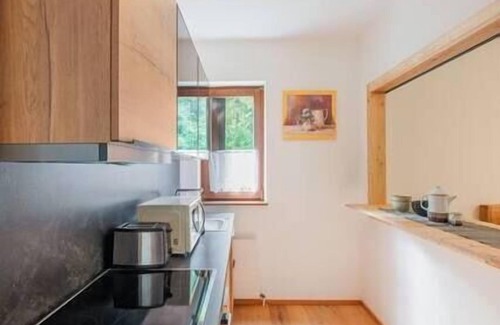 Bad Goisern Apartment | Charming Apartment with Balcony Near Hallstatt Awaits You