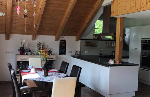 Bad Goisern Apartment | Cozy Holiday Apartment Ideal for Families and Friends
