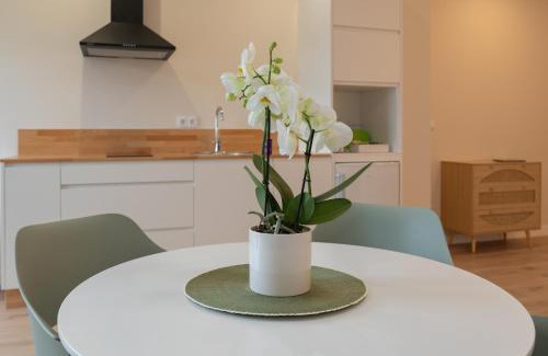 Maceira Apartment | Exceptional Family-Friendly Stay at AT Negreira no Camiño