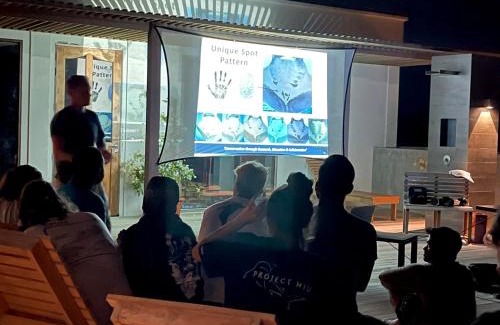 Fuvahmulah Hotel | Experience Tranquility at Ataraxis Grand and Spa Fuvahmulah