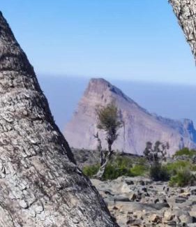 Al Hamra House | Discover Atiaf Jabal Shams House: Perfect for Families & Pets