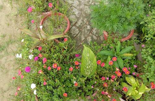 Faizabad House | Cozy Atithi Home Stay: Family-Friendly with Breakfast Included
