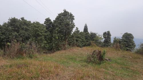 Darjeeling House | Serene Atithi Inn: Oceanfront Homestay with Spa & Pets