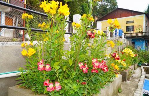 Darjeeling House | Serene Atithi Inn: Oceanfront Homestay with Spa & Pets