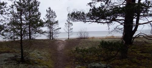 Mersrags Ski Chalet | Discover Atpūtas mājiņa ''JŪRASMIERS'' with Ocean Views