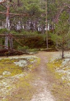 Mersrags Ski Chalet | Discover Atpūtas mājiņa ''JŪRASMIERS'' with Ocean Views