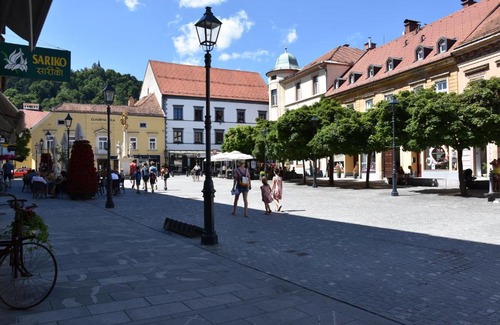 Celje Apartment | Perfect Atrij Hotel: 4-Star Stay with Pet-Friendly Amenities
