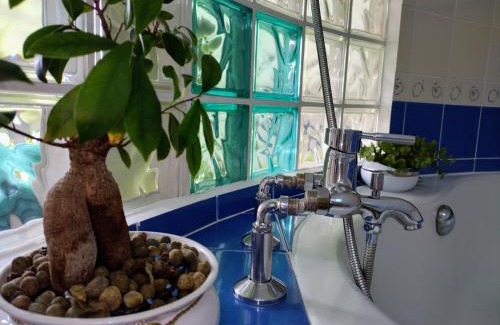 Camara de Lobos Apartment | Pet-Friendly Attic Bay - Oceanfront Escape Rated 9.7/10